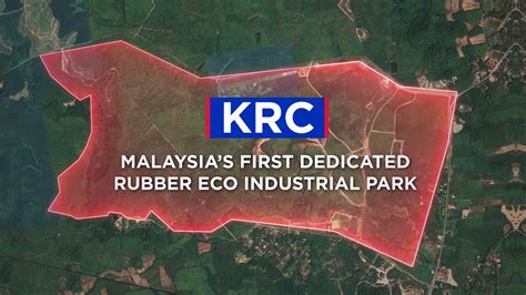 Kedah Rubber Cup: Exploring a Turning Point for Malaysian Agriculture and Global Rubber Supply